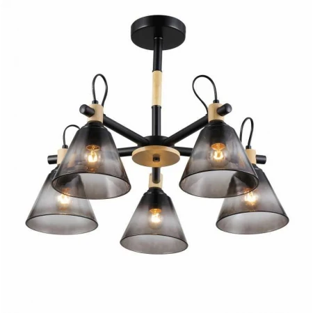 06781/5 BLACK+WOOD (1) Люстра (RL) 