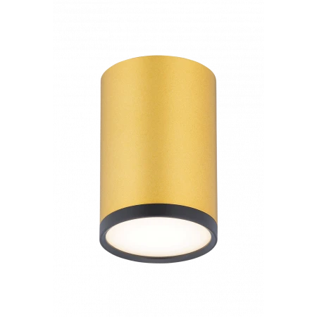 0050 SBK+SGD (1/30) Светильник (RL)