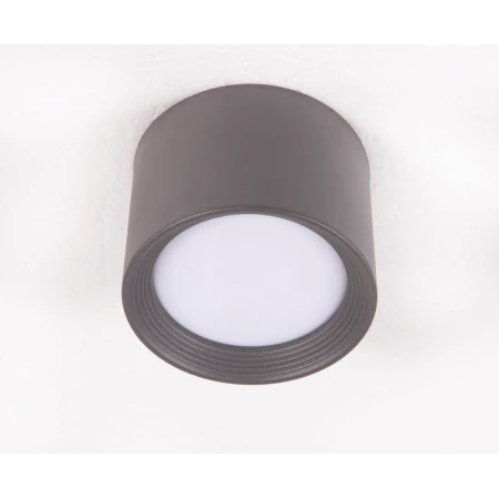 2559W/1 FGY (1/48) Светильник потолочный NW