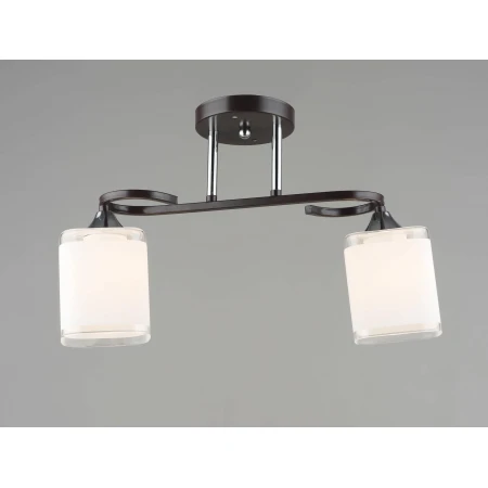 5988/2 BK+CH (4) Люстра (RL) 