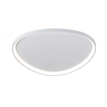 2550/850 WHITE (1) Потолочный светильник (RL)