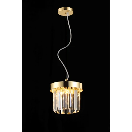 G15-ф200*H170 H GOLD (1) Подвесной светильник NW