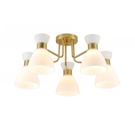 07304/5 COPPER (1) Люстра (RL) 