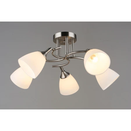 6579/5 SL (2) Люстра (RL) 