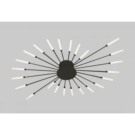 9730-24 BLACK (1) Люстра NW # 