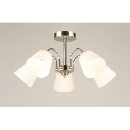 6817/5 SN (1) Люстра (RL) # 