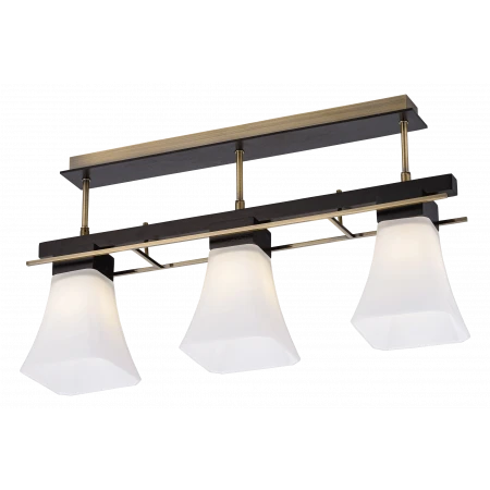 85661/3C RED+AB (1) Люстра 