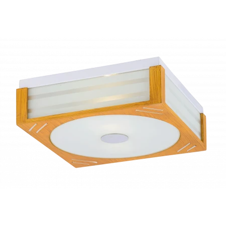 9676X/2 ZD (1) Люстра # 