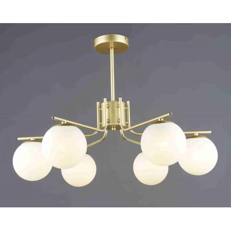 6615/6 GD (1) Люстра RL 