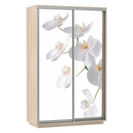 Шкаф-купе Экспресс Хит Фото Орхидея
