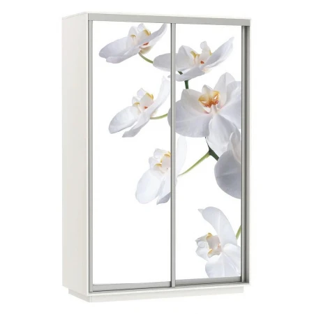 Шкаф-купе Экспресс Фото Дуо Орхидея 1200x600x2200