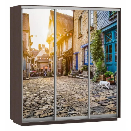 Шкаф-купе Экспресс Фото Трио Улица 2100x600x2200