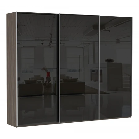 Шкаф-купе Эста Трио