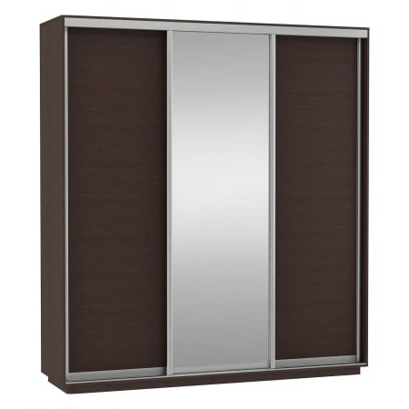 Шкаф-купе Экспресс Медиум (1 зеркало) Трио 2400x600x2200