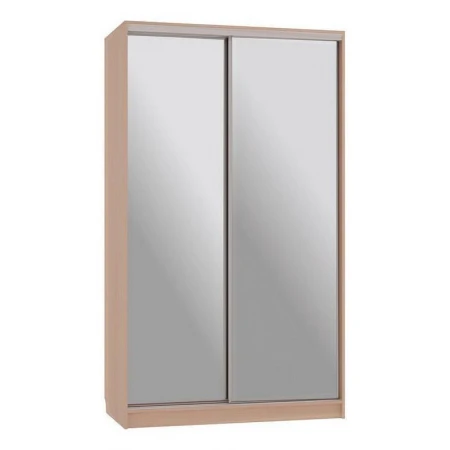 Шкаф-купе Рио 4-600