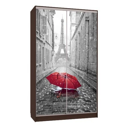 Шкаф-купе Рио 7-600