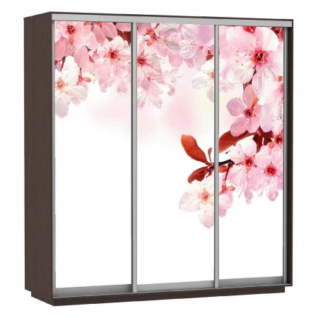 Шкаф-купе Экспресс Фото Трио Сакура 2400x600x2200