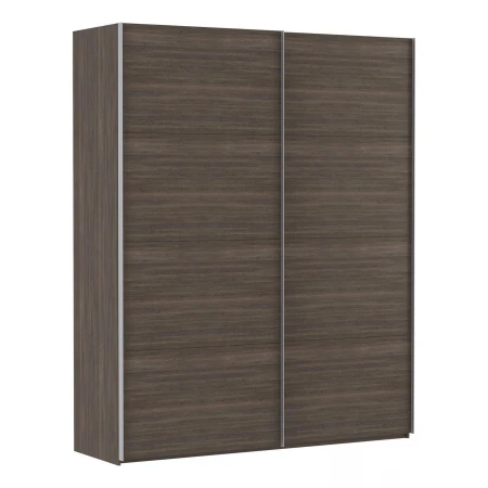 Шкаф-купе Эста Дуо