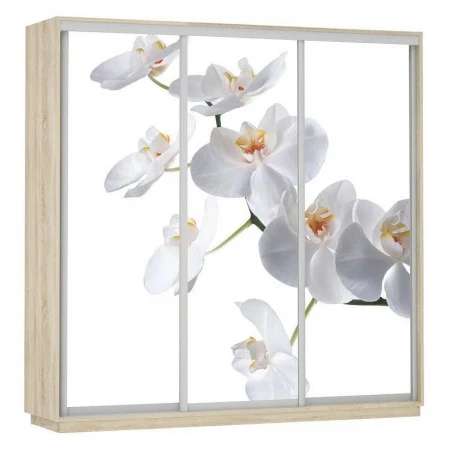 Шкаф-купе Экспресс Фото Трио Орхидея 2400x600x2200