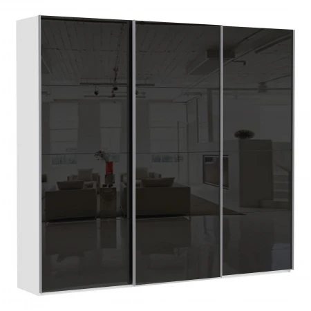 Шкаф-купе Эста Трио