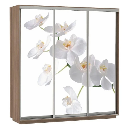 Шкаф-купе Экспресс Фото Трио Орхидея 2400x600x2200