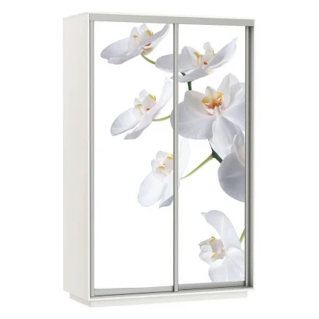 Шкаф-купе Экспресс Фото Дуо Орхидея 1400x600x2400