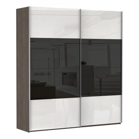 Шкаф-купе Эста Дуо