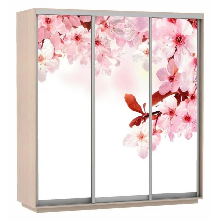 Шкаф-купе Экспресс Фото Трио Сакура 2100x600x2200