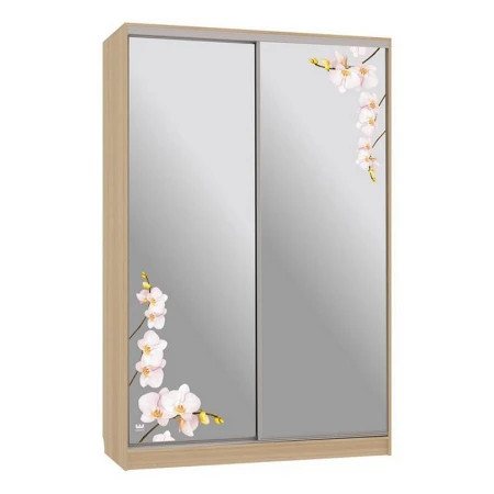 Шкаф-купе Рио 4-600 орхидеи