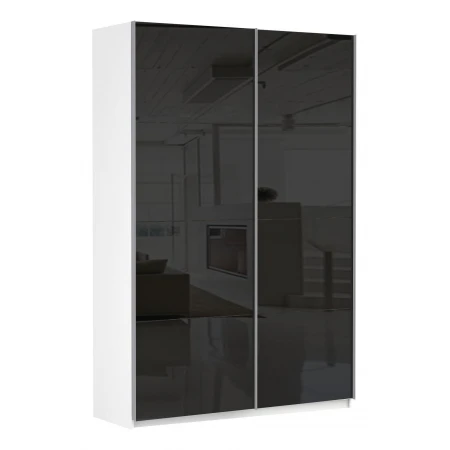 Шкаф-купе Эста Дуо