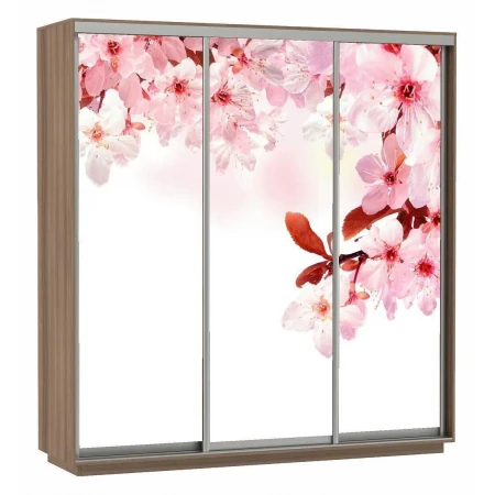 Шкаф-купе Экспресс Фото Трио Сакура 2400x600x2400