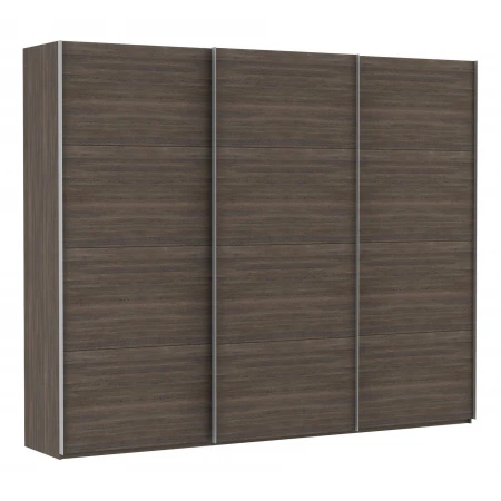 Шкаф-купе Эста Трио