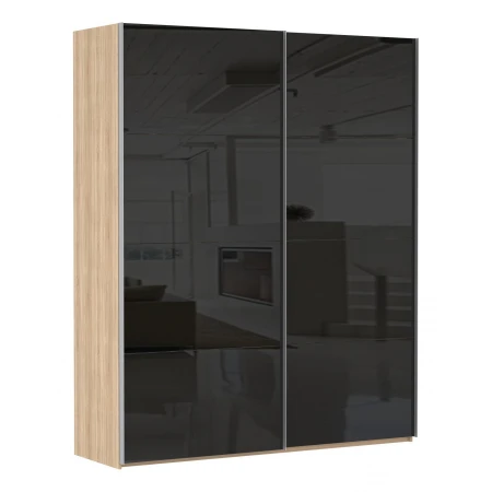 Шкаф-купе Эста Дуо