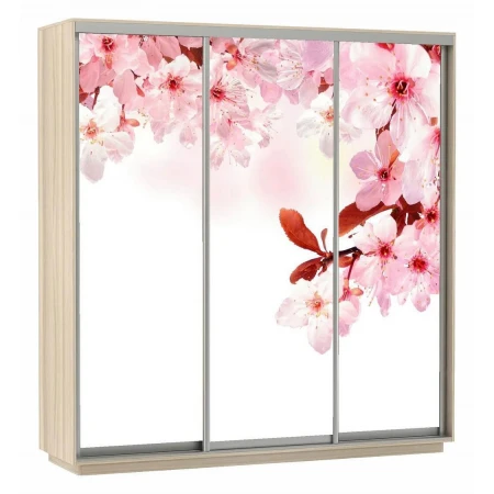 Шкаф-купе Экспресс Фото Трио Сакура 2400x600x2200