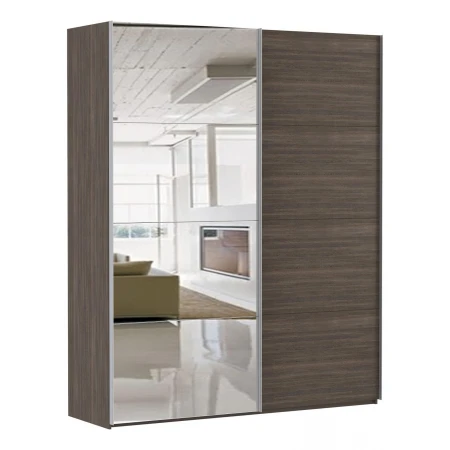 Шкаф-купе Эста Дуо