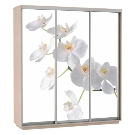Шкаф-купе Экспресс Фото Трио Орхидея 2400x600x2200