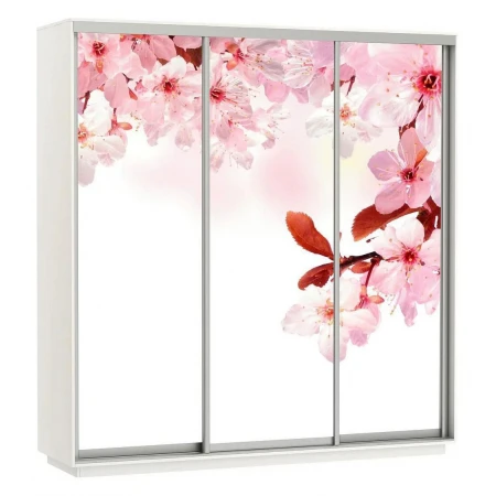Шкаф-купе Экспресс Фото Трио Сакура 2400x600x2400