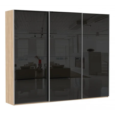 Шкаф-купе Эста Трио