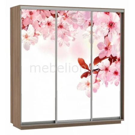 Шкаф-купе Экспресс Фото Трио Сакура 2400x600x2200
