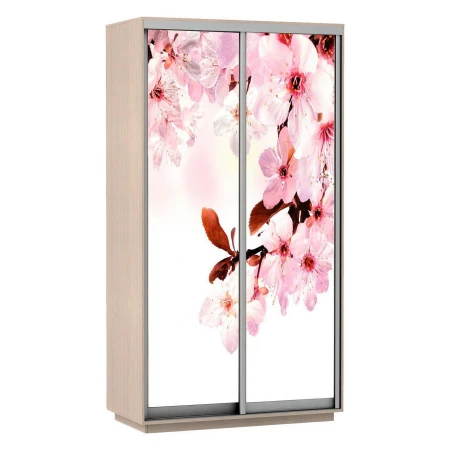 Шкаф-купе Экспресс Хит Фото Сакура