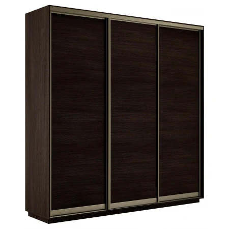 Шкаф-купе Экспресс Элемент трио