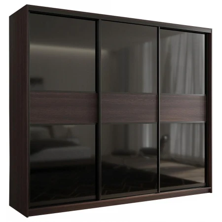 Шкаф-купе Кааппи 12 2100x450