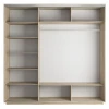 Шкаф-купе Экспресс Медиум