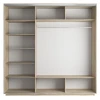 Шкаф-купе Экспресс Медиум