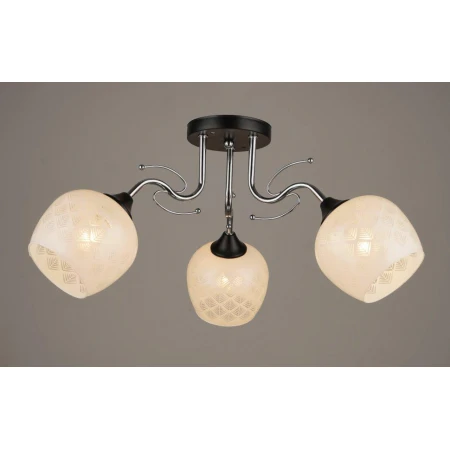 ВР-A3407/3 BK+CR (6) светильник потолочный [01095029]