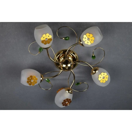 Ц57343/5 (1) люстра [01041652]