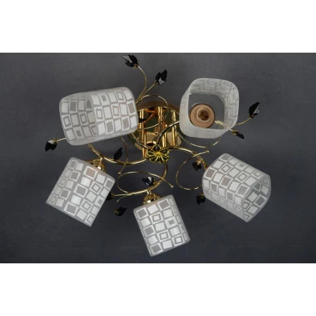 ДС6254/5А (4) FG светильник потолочный [01075277]