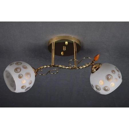 ДС9181/2 (6) FG светильник потолочный [01075162]