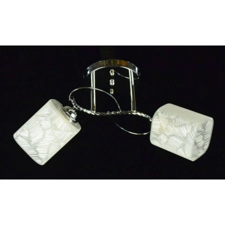 ДС75719B/2 CR (6) светильник потолочный [01086543]