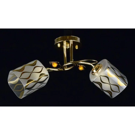 ДС7163/2B FGD (6) светильник потолочный [01086520]